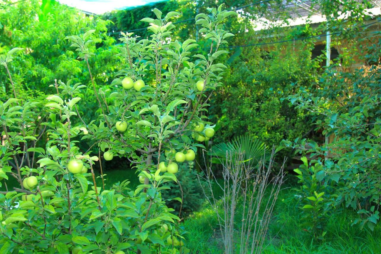 Evergreen Guesthouse Marghilon ภายนอก รูปภาพ